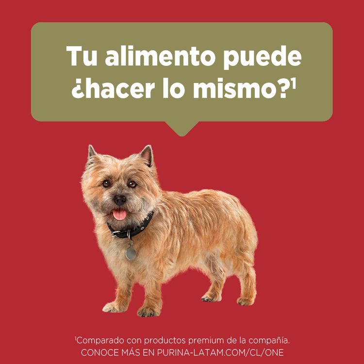 Alimento-para-Perros-Minis-y-Peque-os-Purina-One-Pollo-y-Cordero-6kg-6-242142