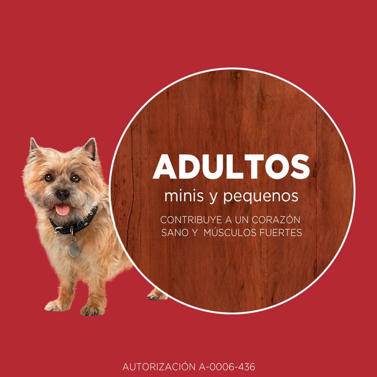 Alimento-para-Perros-Minis-y-Peque-os-Purina-One-Pollo-y-Cordero-6kg-7-242142