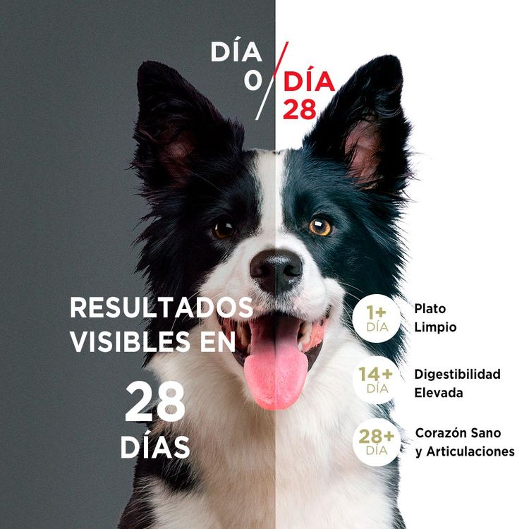 Alimento-para-Perros-Medianos-y-Grandes-Purina-One-Pollo-y-Cordero-2kg-2-242602