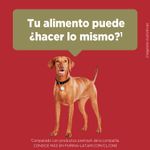 Alimento-para-Perros-Medianos-y-Grandes-Purina-One-Pollo-y-Cordero-2kg-6-242602