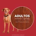 Alimento-para-Perros-Medianos-y-Grandes-Purina-One-Pollo-y-Cordero-2kg-7-242602