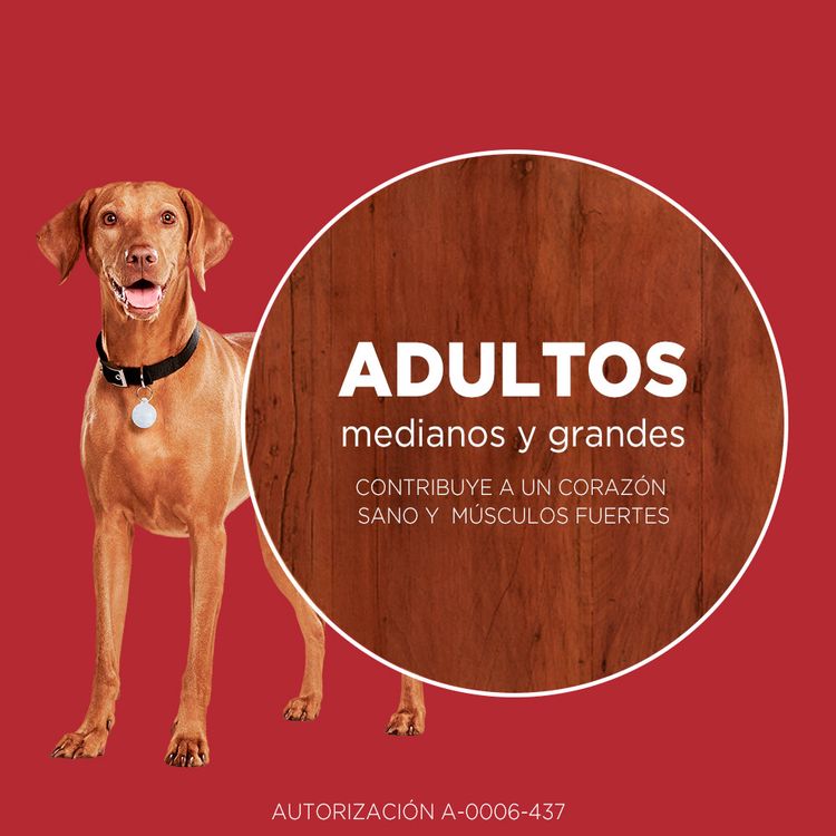 Alimento-para-Perros-Medianos-y-Grandes-Purina-One-Pollo-y-Cordero-2kg-7-242602