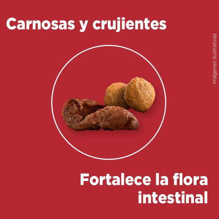 Alimento-para-Perros-Medianos-y-Grandes-Purina-One-Pollo-y-Cordero-6kg-5-242144