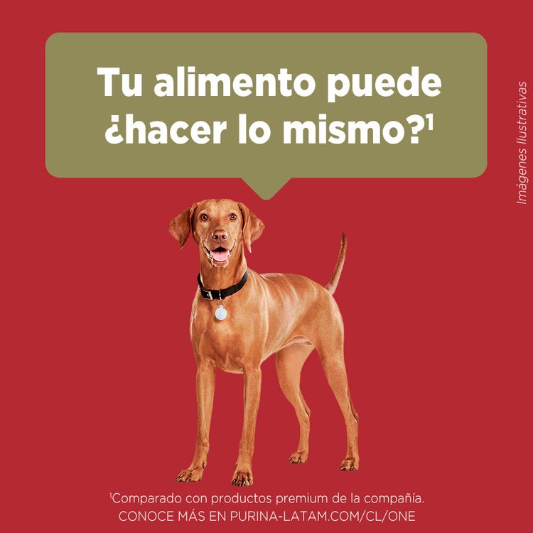 Alimento-para-Perros-Medianos-y-Grandes-Purina-One-Pollo-y-Cordero-6kg-6-242144