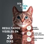 Alimento-para-Gatitos-Purina-One-Pollo-y-Carne-2kg-2-242606