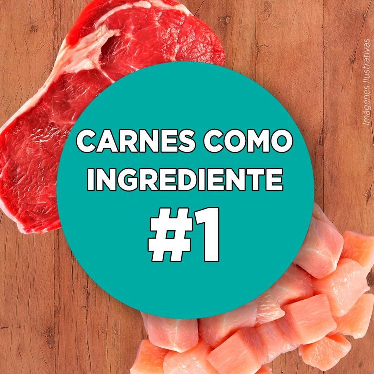 Alimento-para-Gatitos-Purina-One-Pollo-y-Carne-2kg-4-242606