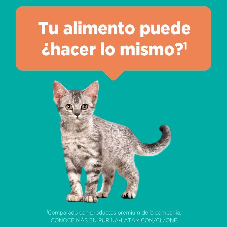 Alimento-para-Gatitos-Purina-One-Pollo-y-Carne-2kg-6-242606