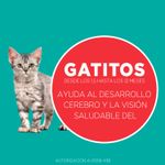 Alimento-para-Gatitos-Purina-One-Pollo-y-Carne-2kg-7-242606