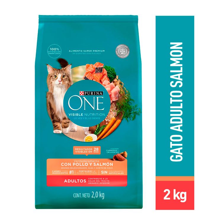 Alimento-para-Gatos-Purina-One-Pollo-y-Salm-n-2kg-1-242607