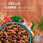 Alimento-para-Gatitos-Purina-One-Pollo-y-Carne-500g-3-240905