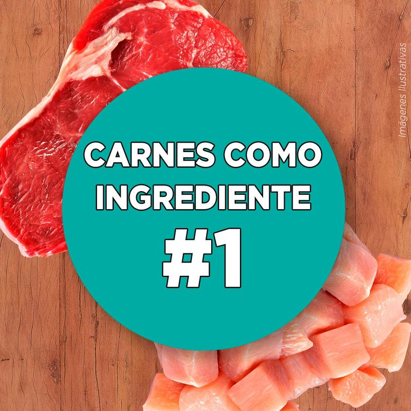 Alimento-para-Gatitos-Purina-One-Pollo-y-Carne-500g-4-240905
