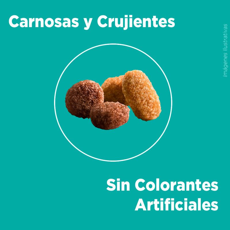 Alimento-para-Gatitos-Purina-One-Pollo-y-Carne-500g-5-240905