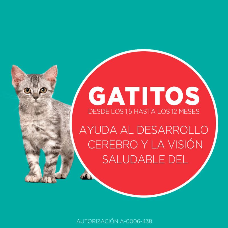 Alimento-para-Gatitos-Purina-One-Pollo-y-Carne-500g-7-240905