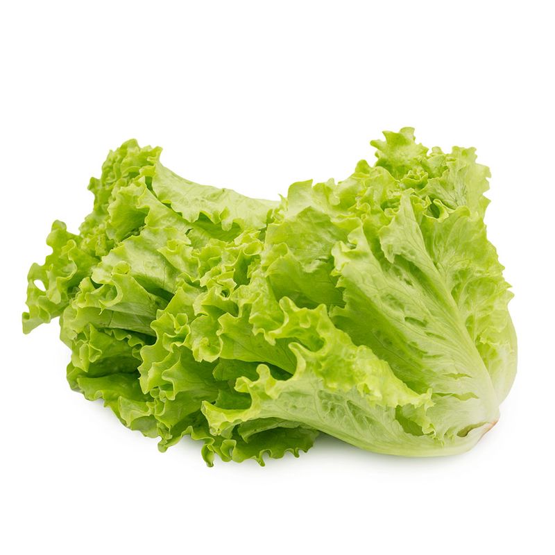Lechuga-Crespa-Cuisine-Co-2-134775