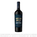 Vino-Tinto-Malbec-Buenos-Aires-Reserva-Botella-750ml-1-246954