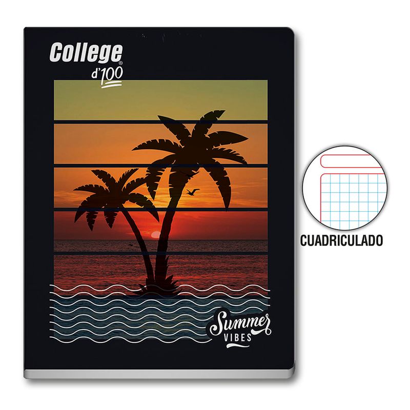 Cuaderno-College-Play-Low-Dise-o-College-100-Hojas-CUADERNO-100HJ-CDR-DISENO-COLLEGE-2-247801