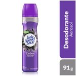 DEO-LADY-SPEED-STICK-CARBON-ABSO-150ML-1-246933