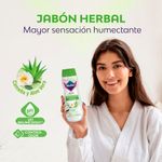 Jab-n-ntimo-Nosotras-Herbal-V-Camelia-y-Aloe-Vera-200ml-2-72784