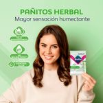 Pack-Nosotras-Hebal-V-Jab-n-ntimo-200ml-Pa-itos-H-medos-10un-3-73452