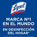 Pa-o-Multiuso-Lysol-Canister-Pureza-Algondo-35un-LYSOL-CANISTER-PUREZA-ALGONDO-X-35UN-3-246929