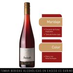 Vino-de-Aguja-Ros-Malbec-Tacama-Amore-de-Ica-Botella-750ml-2-22463