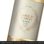 Vino-Blanco-Blend-Tacama-Blanco-de-Blancos-Triunfo-Botella-750ml-3-20717
