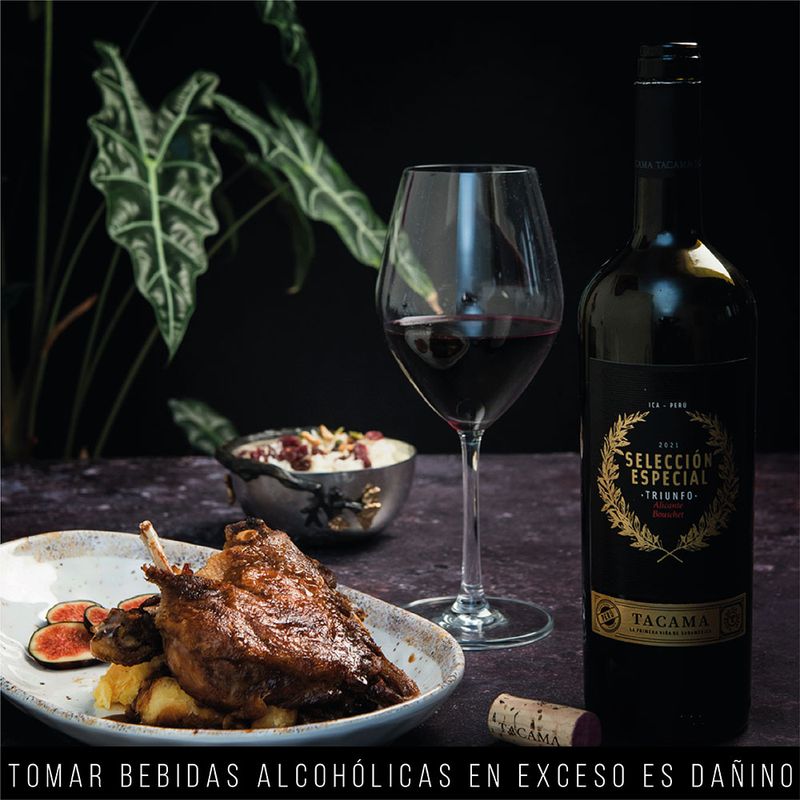 Vino-Tinto-Alicante-Bouschet-Tacama-Selecci-n-Especial-Triunfo-Botella-750ml-4-20818