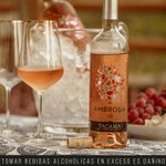 Vino-Ros-Blend-Tacama-Ambros-a-Botella-750ml-4-22966