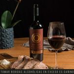 Vino-Tinto-Malbec-Petit-Verdot-Tacama-Origen-Botella-750ml-4-95813