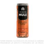 RTD-PORTON-MULE-LATA-355-ML-1-258974