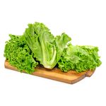 Lechuga-La-Caserita-2-30147