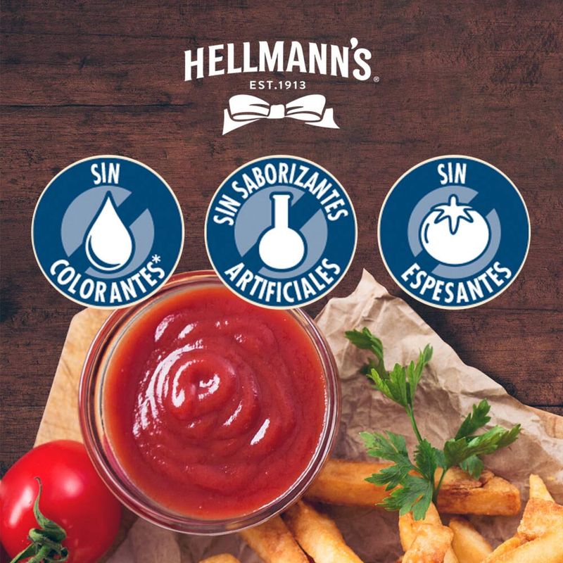 Ketchup-Hellmann-s-250g-3-261328