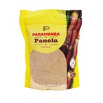 Panela-Paramonga-500g-1-260862
