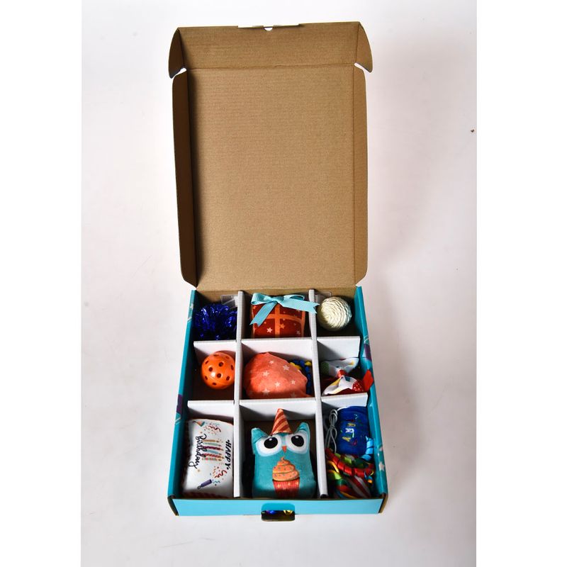 Pack-Sorpresas-Pets-Fun-Cumplea-os-Gato-2-261184