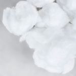 Algod-n-Hidr-filo-Family-Care-50g-3-77809