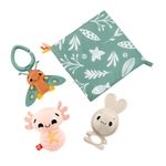 Baby-Set-Fisher-Price-Muchos-Sentidos-1-260175