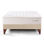 Cama-y-Royal-Elizabeth-King-Champagne-Cama-Para-so-Royal-Elizabeth-Champagne-King-1-237440