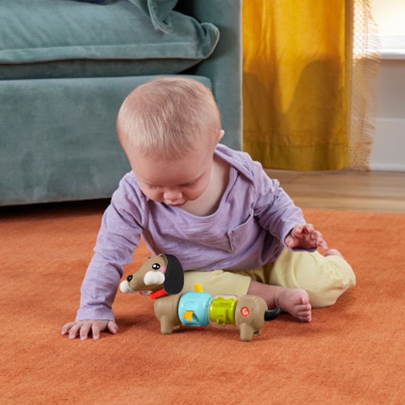 Perrito-Salchicha-Fisher-Price-6-260441