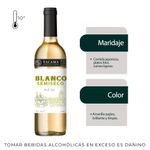 Vino-Blanco-Blend-Tacama-de-la-Vi-a-Botella-750ml-2-22549