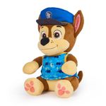 Peluche-Hora-de-Dormir-Paw-Patrol-2-263834