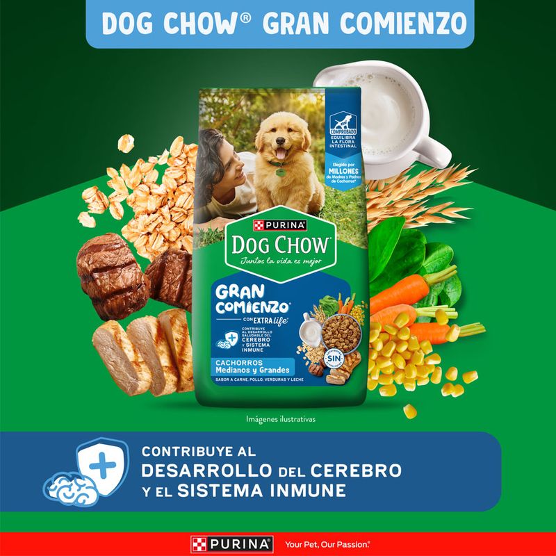 Alimento-Seco-Dog-Chow-Cachorro-Medianos-y-Grandes-1-5Kg-2-263038