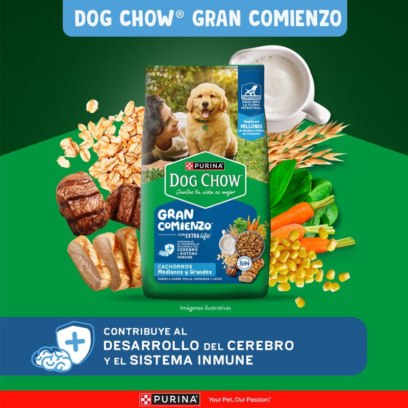 Alimento-Seco-Dog-Chow-Cachorro-Medianos-y-Grandes-3Kg-2-263035