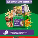 Alimento-Seco-Dog-Chow-Cachorro-Minis-y-Peque-os-3Kg-2-263037