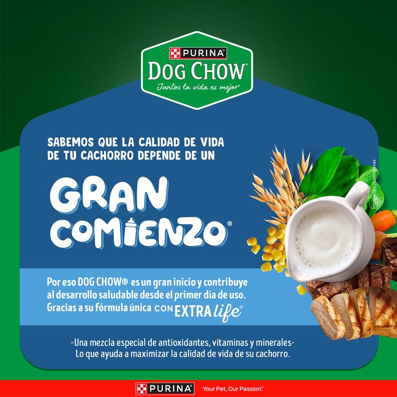 Alimento-Seco-Dog-Chow-Cachorro-Medianos-y-Grandes-1-5Kg-3-263038