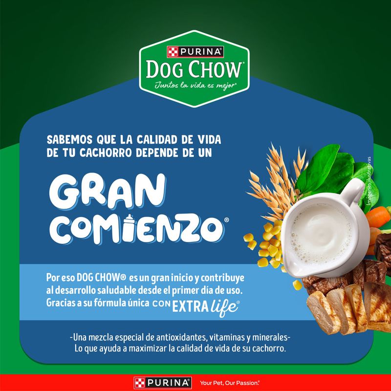 Alimento-Seco-Dog-Chow-Cachorro-Medianos-y-Grandes-3Kg-3-263035