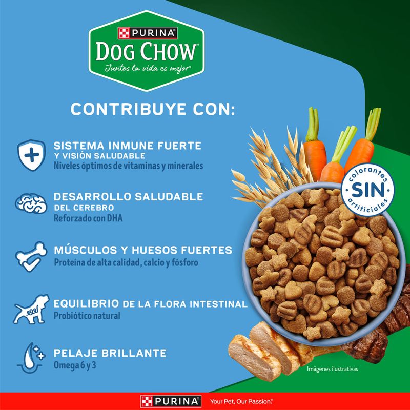 Alimento-Seco-Dog-Chow-Cachorro-Medianos-y-Grandes-3Kg-4-263035