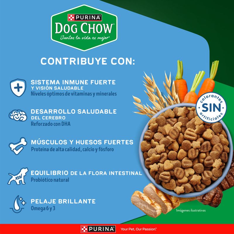 Alimento-Seco-Dog-Chow-Cachorro-Medianos-y-Grandes-8Kg-4-263033