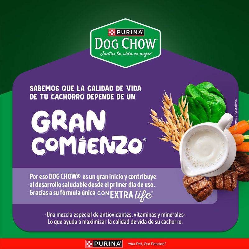 Alimento-Seco-Dog-Chow-Cachorro-Minis-y-Peque-os-3Kg-3-263037