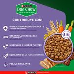 Alimento-Seco-Dog-Chow-Cachorro-Minis-y-Peque-os-3Kg-4-263037