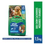 Alimento-Seco-Dog-Chow-Cachorro-Medianos-y-Grandes-1-5Kg-1-263038